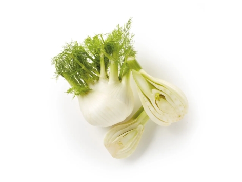 Finocchio