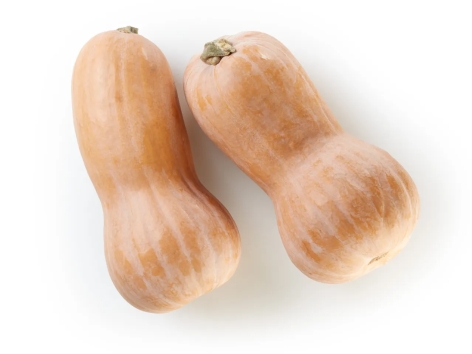 Zucca Butternut