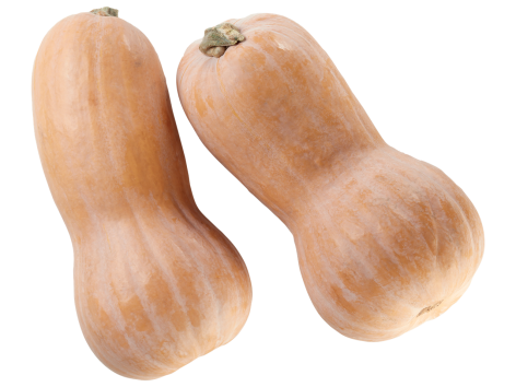 Zucca Butternut
