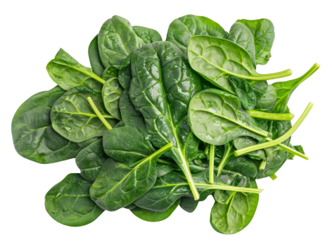 Spinaci XXL