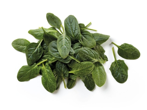 Spinaci XXL