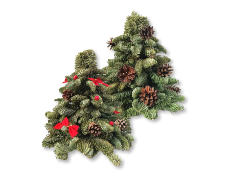 Albero di Natale