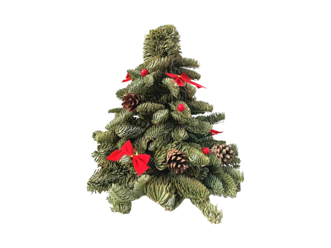 Albero di Natale