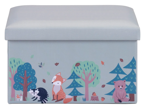 Box cassapanca per bambini