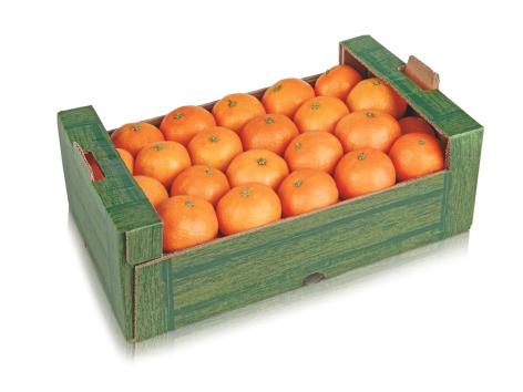 Clementine