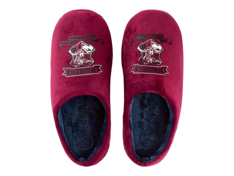 Pantofole da uomo e donna "Harry Potter"