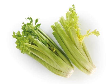 Sedano Verde