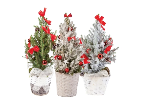 Alberello di Natale in cestino di legno