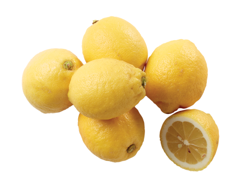 Limoni XXL