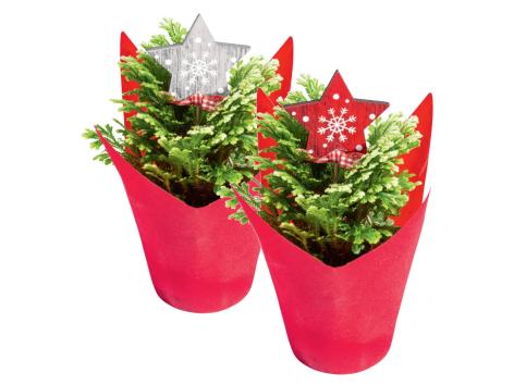 Mini alberello di Natale