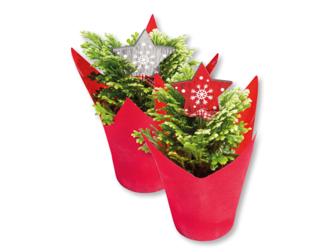 Mini alberello di Natale