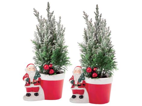 Babbo Natale in ceramica con conifere