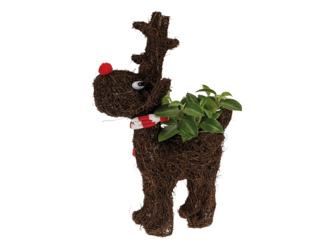 Composizione natalizia a forma di renna