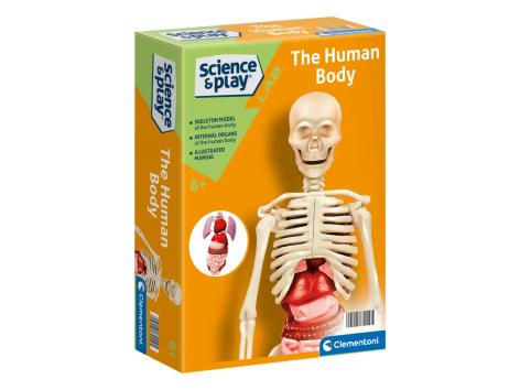 Gioco educativo mini