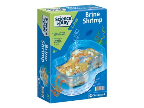 Gioco educativo mini