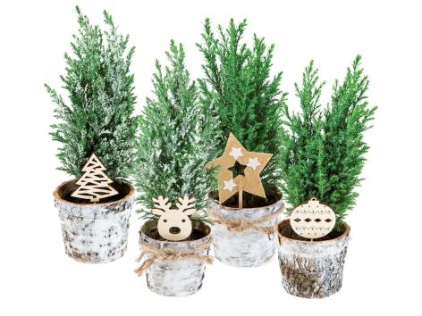 Conifere con decorazione