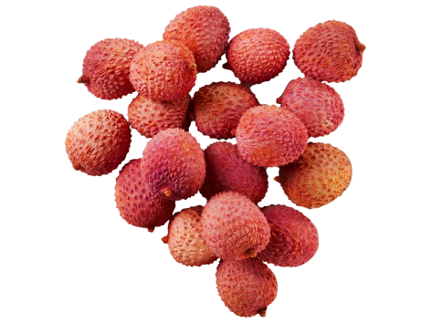 Litchi
