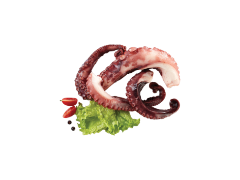 Tentacoli di polpo scottati