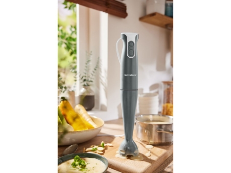 Frullatore a immersione