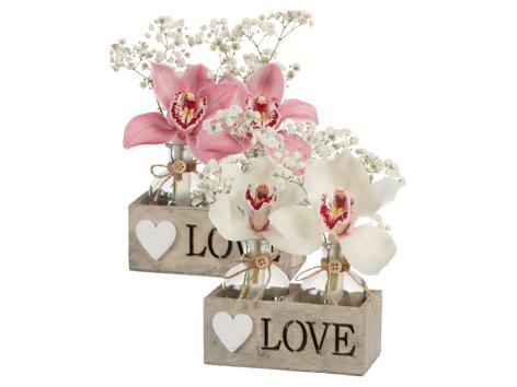 Cymbidium 2 fiori