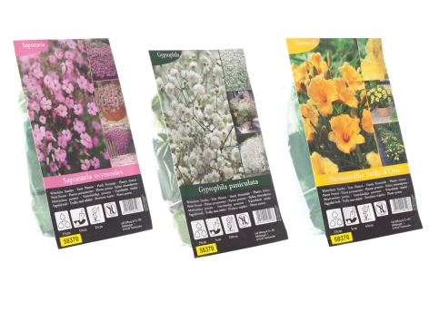 Bulbi da fiore perenni