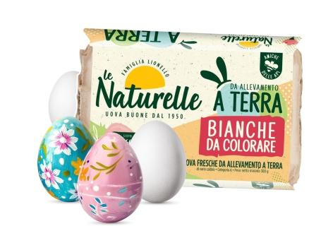 6 uova bianche da colorare