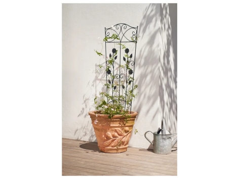 Spalliera in metallo per rampicanti