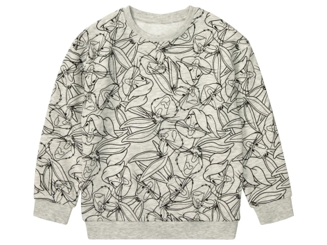 Felpa da bambino “Warner Bros”