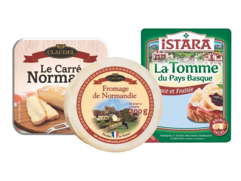 Selezione di formaggi tipici francesi