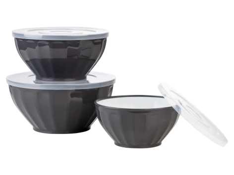 Set ciotole con coperchio