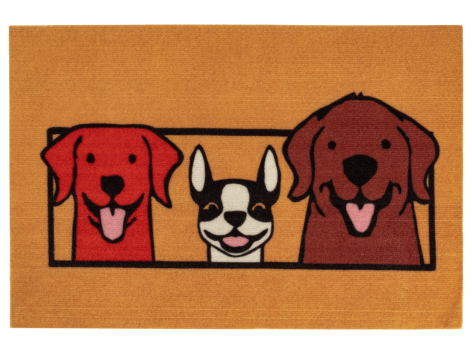 Tappeto catturasporco 40x60 cm