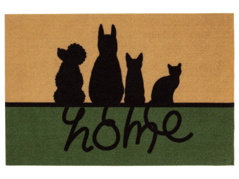 Tappeto catturasporco 40x60 cm