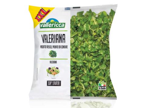 Valeriana XXL