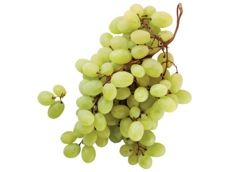 Uva bianca Mazzarrone IGP