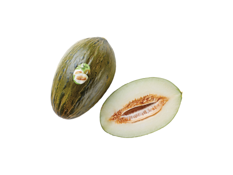 Melone Piel de Sapo