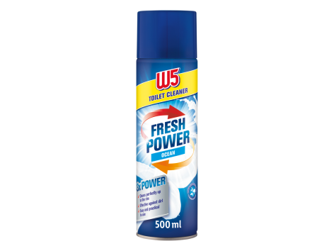 Wc mousse detergente