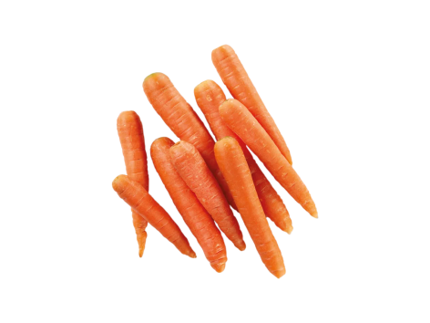 Carota del fucino IGP