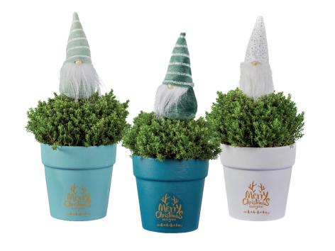 Hebe con nano decorativo