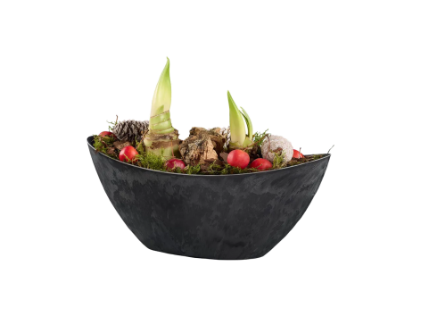 Composizione natalizia