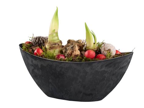 Composizione natalizia