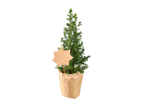 Mini albero di Natale