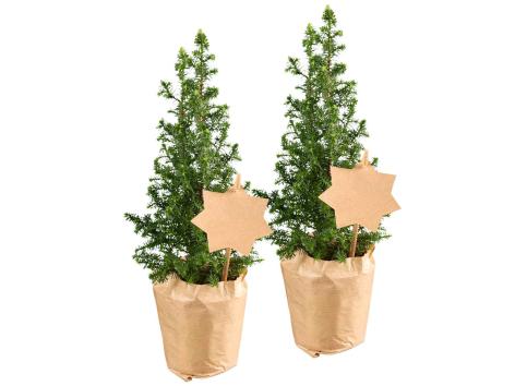 Mini albero di Natale