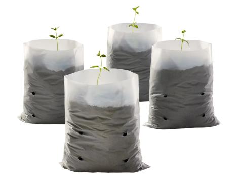 Telo o sacchetti per piante