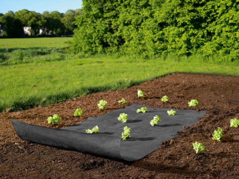 Telo o sacchetti per piante