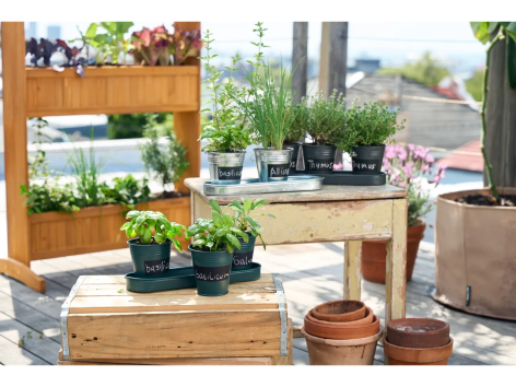 Vaso Per Piante In Miniatura Scala 1:6 Verde - Accessorio Per Case Delle Bambole, Giardini In Miniatura, Fatto Di Plastica