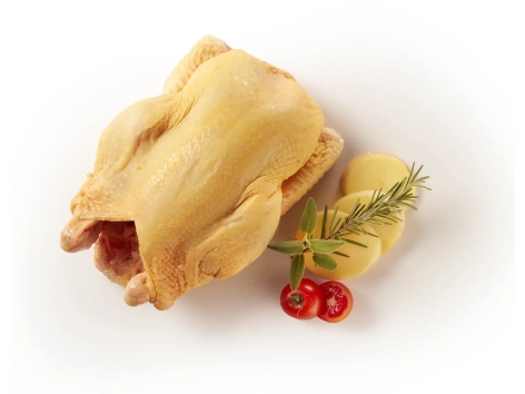 Pollo allevato all'aperto