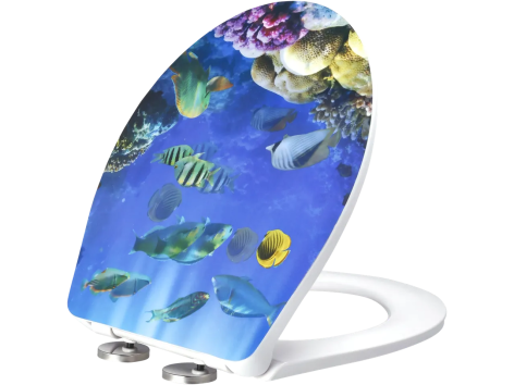 Asse per wc con chiusura automatica