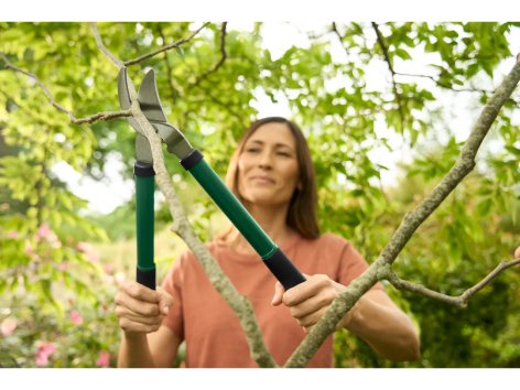 Tagliasiepi o troncarami