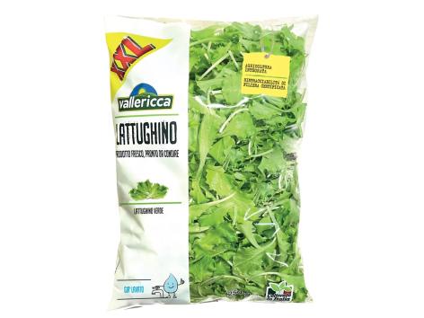 Lattughino XXL