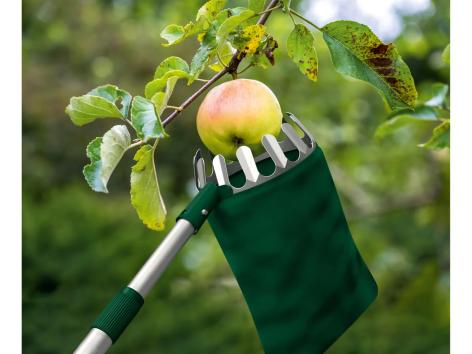 Coglifrutta telescopico
